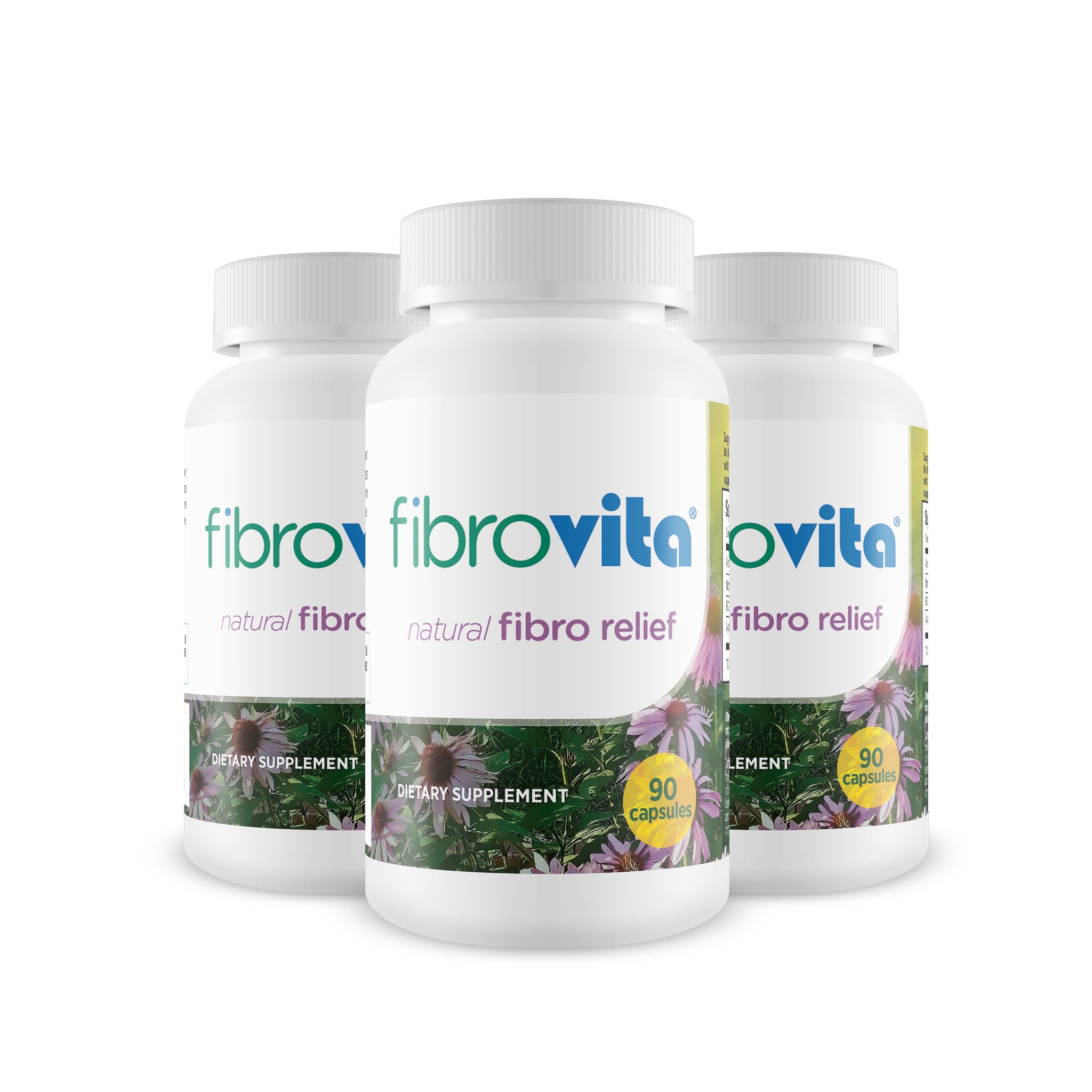 3 Pack of Fibrovita 45-Day Supply (3 90ct bottles)