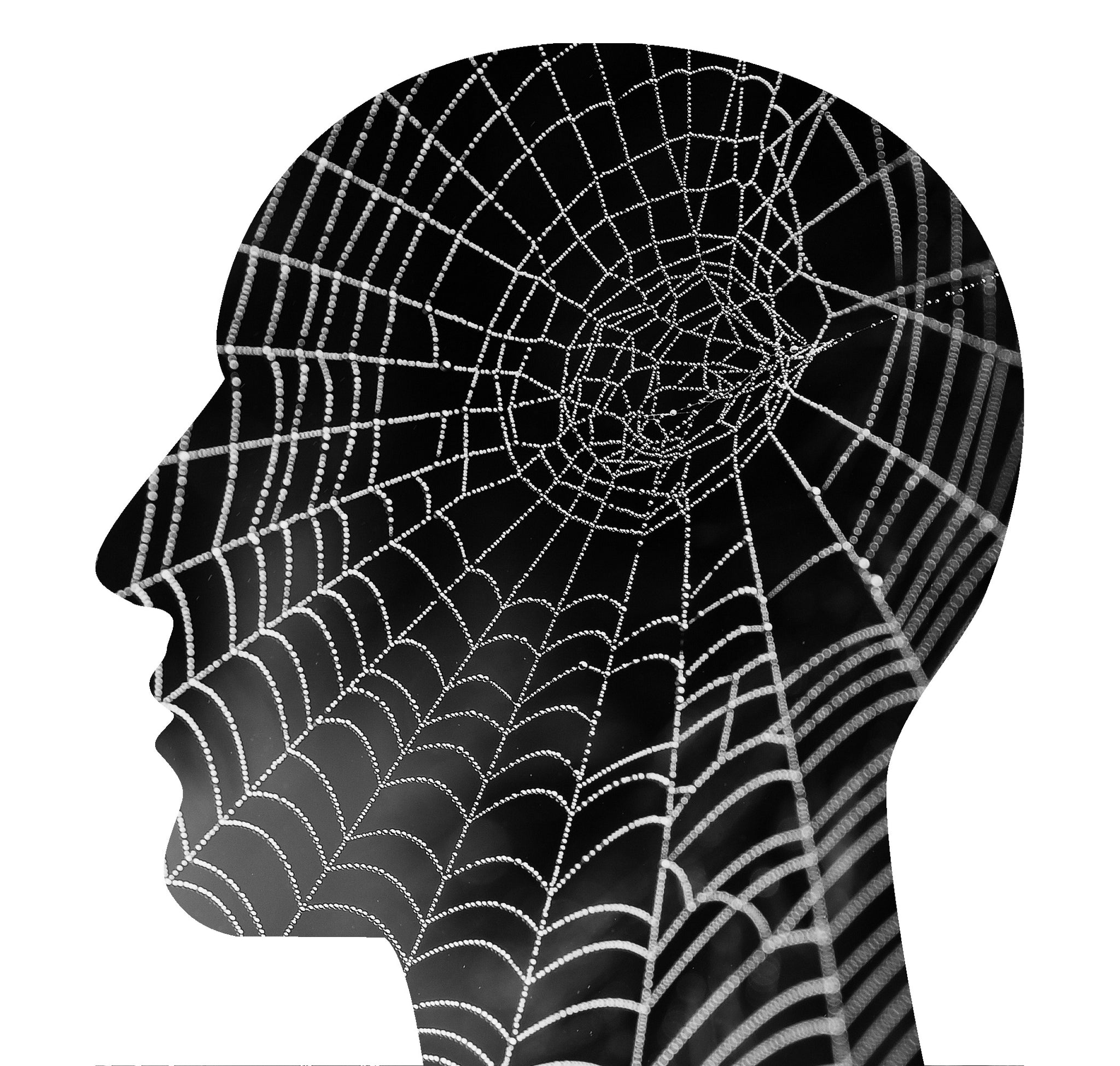The Web of Health: Unraveling the Problems Caused by Unhealthy Fibrin